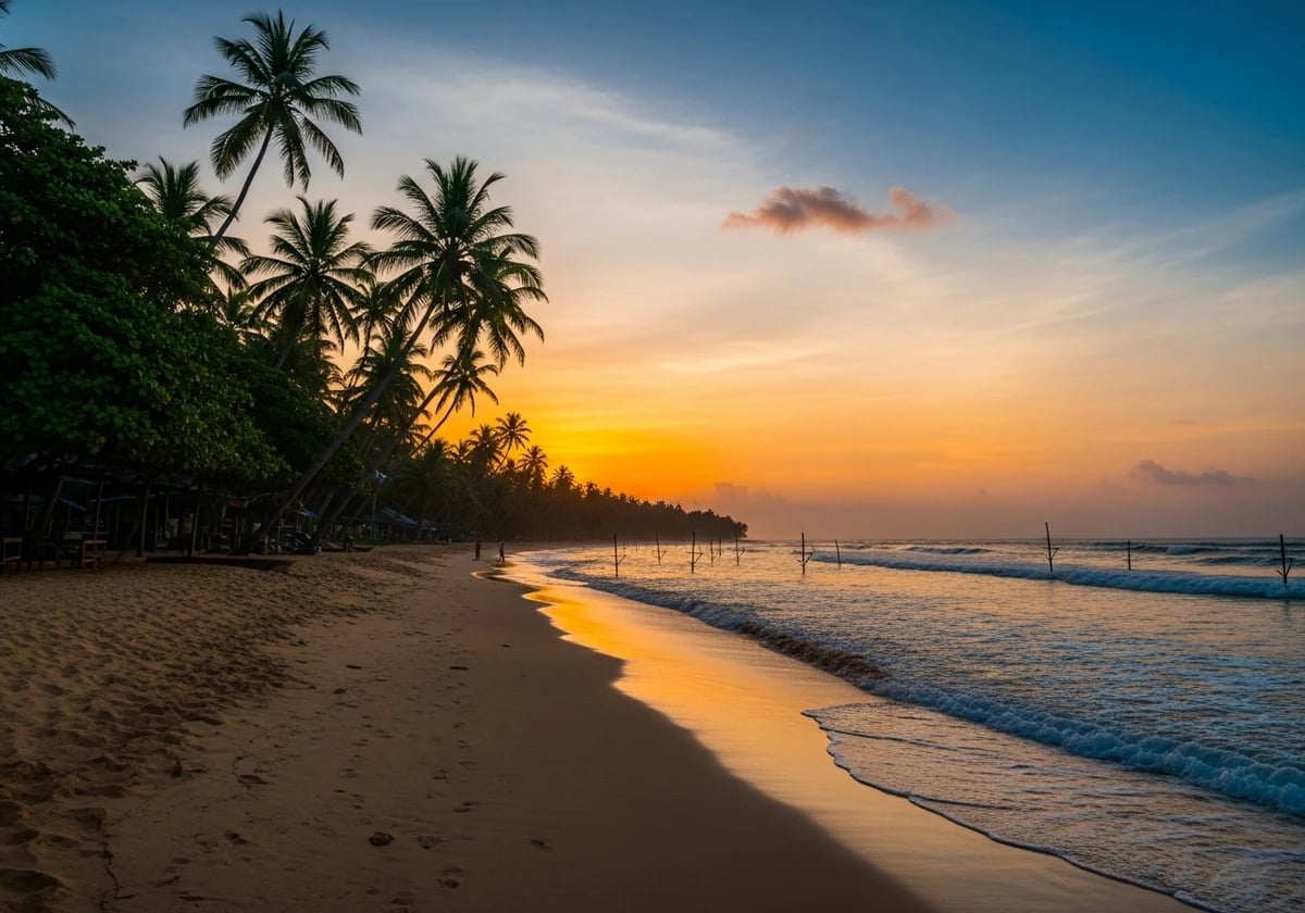 Mirissa (Mirissa)